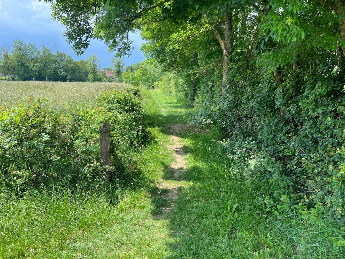 Gites De La Chapelle Gigny-sur-Saone Eksteriør billede